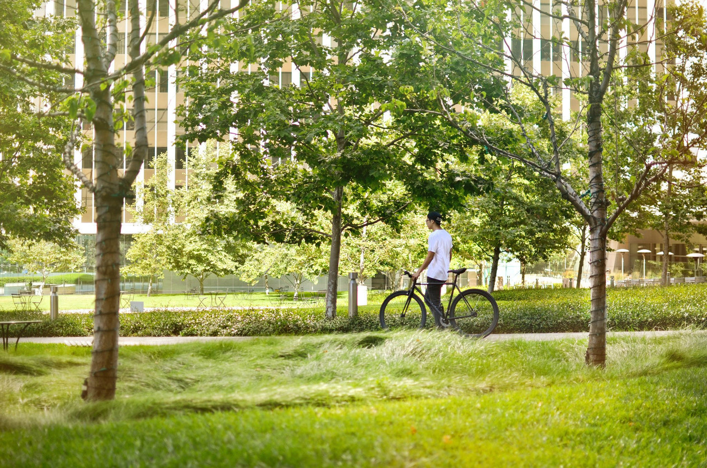 Siva Juliet - rkb.io